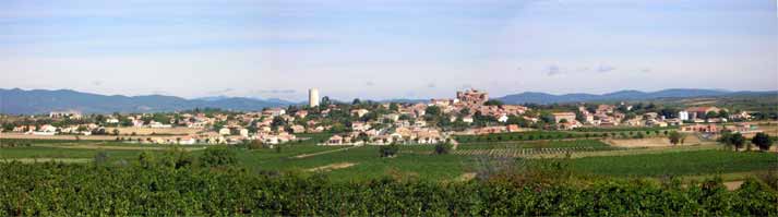 Typische Landschaft in  Languedoc-Roussilon